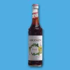 SYROP IRISH MONIN 1L
