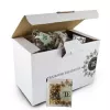 HERBATA ORIENTAL APPLE TEA BAG 3,5G A100