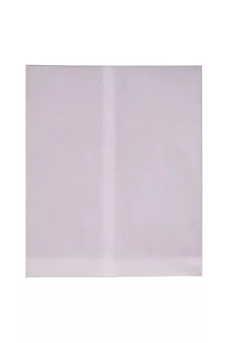 Torba papierowa na kurczaki biała foliowana PE duża 250x300 mm