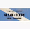 OWIJKA 2.0 CEZAR, BEKON, INDYK, SOS ANCHOIS (1 OPAK = 200SZT )