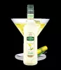 Syrop CUKIER TRZCINOWY Teisseire 1L
