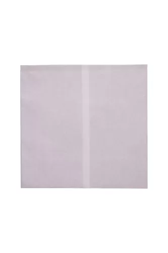 Torba papierowa na kurczaki biała foliowana PE mała 250x240 mm