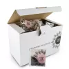 HERBATA ENGLISH BREAKFAST TEA BAG 3,5G A100