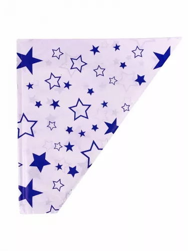 Torebka papierowa 250 g na frytki lub popcorn z nadrukiem uniwersalnym foliowana PE 210x220 mm