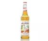 SYROP PIKANTNE MANGO - SPICE MANGO 0.7L.