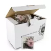 HERBATA PANAKEIA OOLONG TEA BAG 3,5G A100