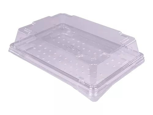 Opakowanie na sushi 18,5x13 cm transparentne (HE24) spód