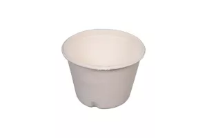 Sosjerka z pulpy z trzciny cukrowej biała 55ml
