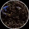 Herbata Graceful Earl Grey 2g - Organic Tea Teahouse Exclusives (opak. 16 szt. po 2g.)