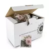 HERBATA GUNPOWDER MINT TEA BAG 3,5G A100