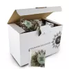 HERBATA PEPPERMINT TEA BAG 2,5G A100