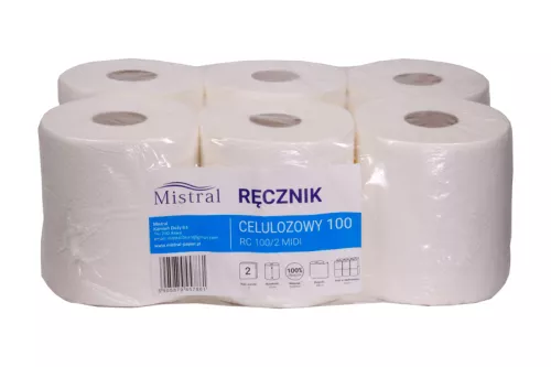 Ręcznik biały celuloza 2W, 100m/19cm