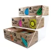 DISPLEY PLEXI NA HERBATĘ EVERYDAY & ORGANIC TEA BAG