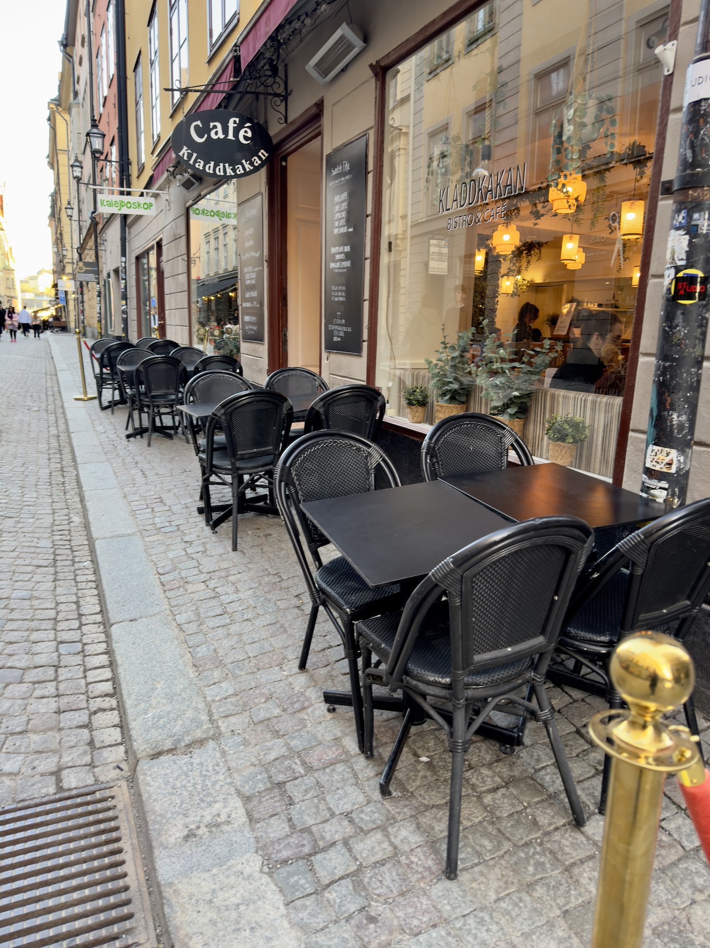 Krzesła z serii Paris to absolutny HIT